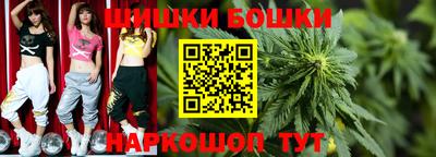 дмт Камышлов